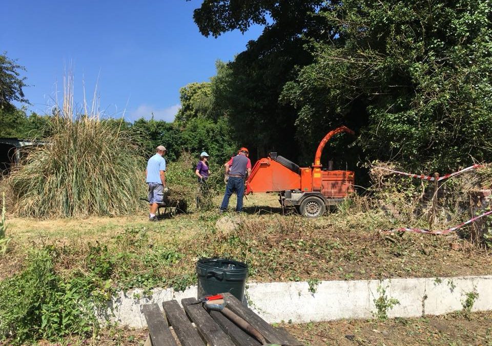 Work in progress in the garden